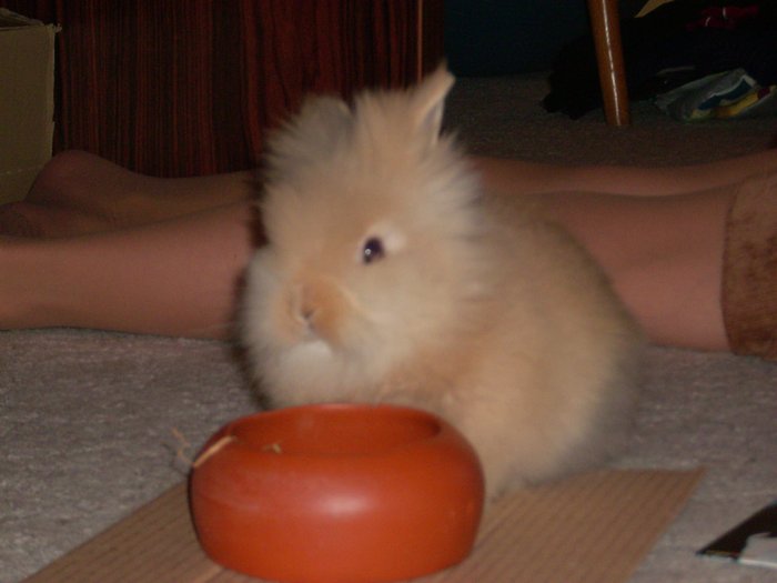 po